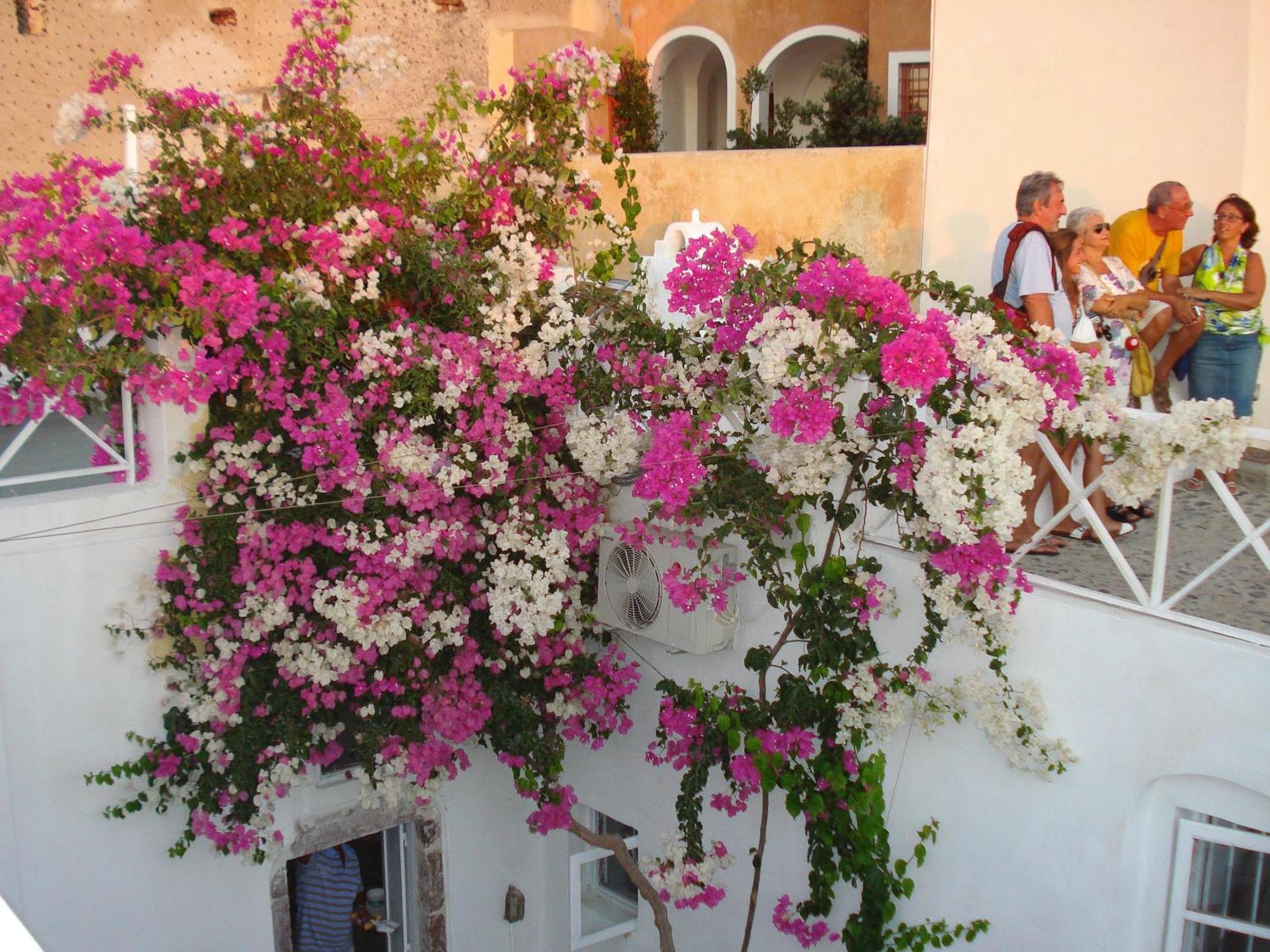 Santorini Paradise Cave Houses Oia  Exterior photo